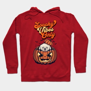 Spooky Vibes Only Hoodie